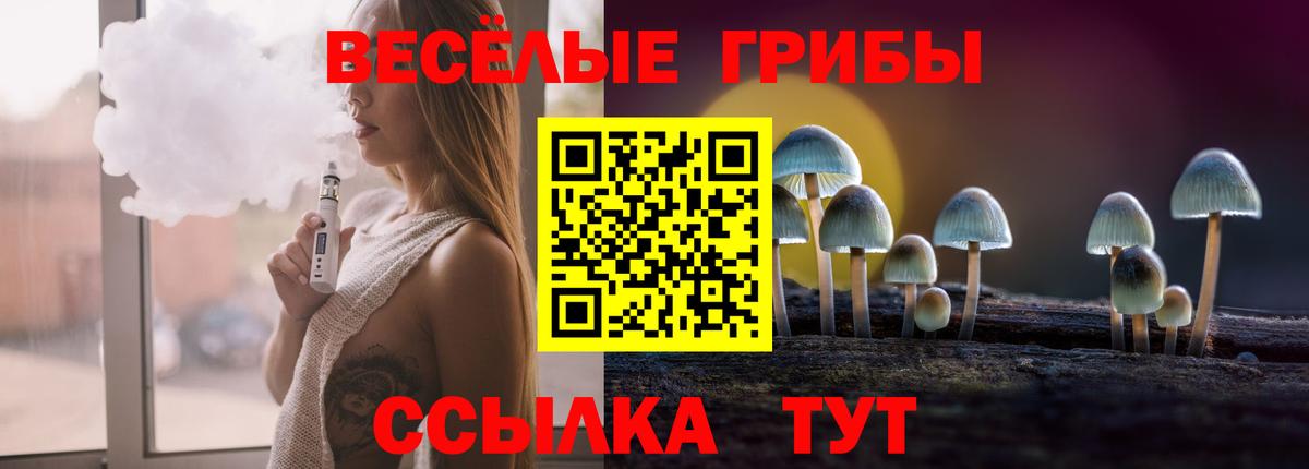 Псилоцибиновые грибы GOLDEN TEACHER Фурманов